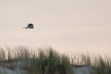 2008-05-04-30D-0237.jpg