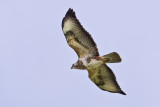 2008-05-03-30D-9918.jpg