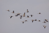 20090306-17.10-30D-3984.jpg