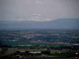 A view of Mt. Adams on the drive home