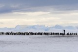 Approaching the Emperor rookery