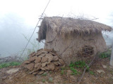 Cow pie storage shed