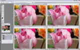 ScreenShot1D3-MultiISO-RIT-FlexNR-5.jpg