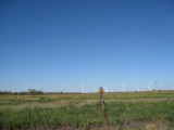 Windfarm 4