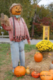 Kids Day at Prospect Hill Orchards, Milton - 2009