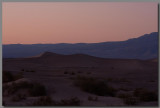 Pink dunes