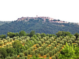 Tuscan Hill Town