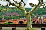 Rainy Day in Heindelberg