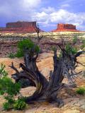 Observation Buttes