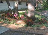 sta_0544_edited.jpg