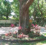 IMG_1225_edited.jpg