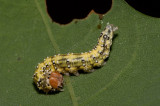 JCR_8487.jpg