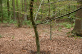 JCR_8491.jpg