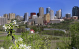 edmonton_068.jpg