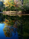 Cranberry Sunny Autumn Reflection v tb11082d