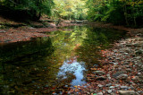 Fall Pool Reflection Nork Fork Cherry River tb10083c