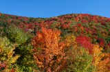 Sunny Fall Colors Sugar Creek Hill tb10081n