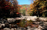 South Fork Upstream Fall Reflection tb10082r