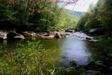 Cranberry River Sunny Spring Foliage tb0409arr.jpg