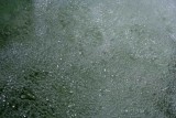 Pool of Aerated Bubbles in Swiftwater tb0409fhr.jpg