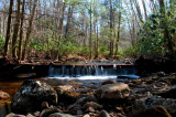 Log Waterfalls in Backlit Forest Scene tb0409fmr.jpg