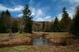 Beaver Dam Upper Hills Creek Spring Hues tb0409flr.jpg