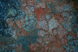 Random Color Forms in River Rock tb0509ksr.jpg