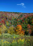 Autumn View of Sugar Creek Ridge tb0929dgr.jpg