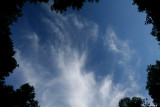 Clouds Floating across Forest Opening tb0710utr.jpg
