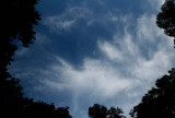 Evening Clouds Surrounded by Dark Woodline tb0714qdr.jpg