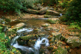 Autumn Scene on Branch Upper Williams River tb1010bor.jpg