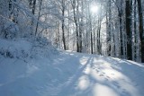 Footprints on Sunny Mountain Ridgeline tb0211kcr.jpg