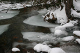 Icy North Fork Water Trails and Islands tb0211knr.jpg