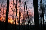 Gold and Blue Appalachian Winter Sunrise tb0211lor.jpg