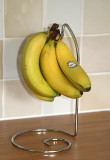 Banana tree..jpg