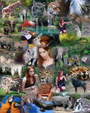 Defender of Wildlife collage