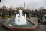 IMG_6488.jpg