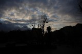IMG_6494.jpg