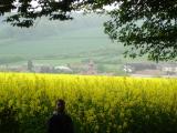 Amersham01.jpg