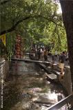 LiJiang - old city.
