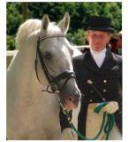 Lipizzaner Mare