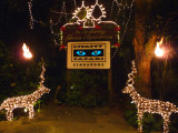 Christmas sign for the Night Safari where you get to see all of the nocturnal animals while riding on a train.