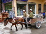 This horse and buggy went by me on the main street of Bat Trang.
