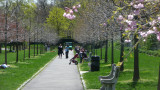 People were enjoying the gardens on a beautiful spring day.