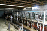 Milk production equipment at the hacienda.