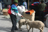 A man bringing his sheep to the market.  Indigenous people bring their products from their farms in the surrounding area.