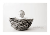 www.captureart.ca - Newborn, Baby, Toddler, Children photography