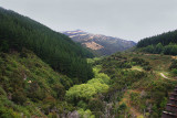 Through the gorge