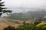 View to Dunedin