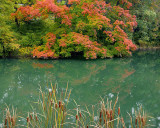 Spring Grove-2009-10-17_006.jpg